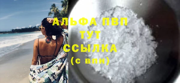 индика Верхний Тагил