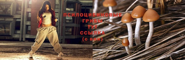 соль ск Богородицк