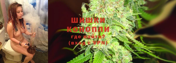 индика Верхний Тагил